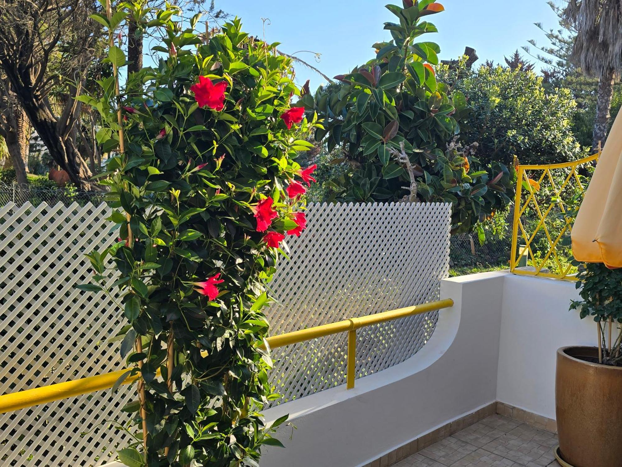 Apartamento Victoria Vilamoura Zewnętrze zdjęcie